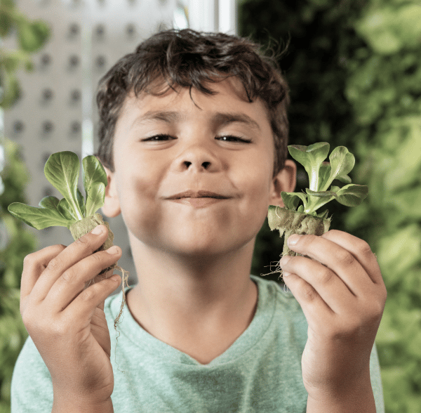 Connect kids with growing fresh food