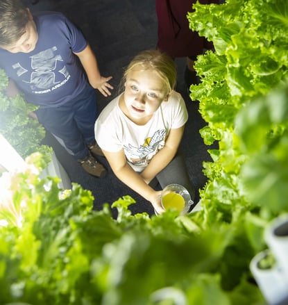 Grow student engagement by growing fresh food