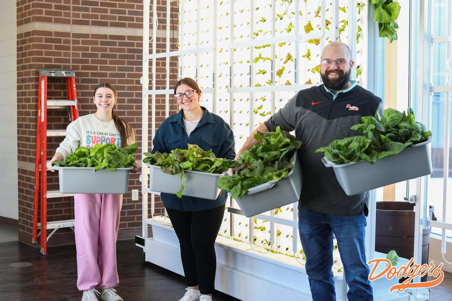 Freshly harvested heads of lettuce from a Flex Farm