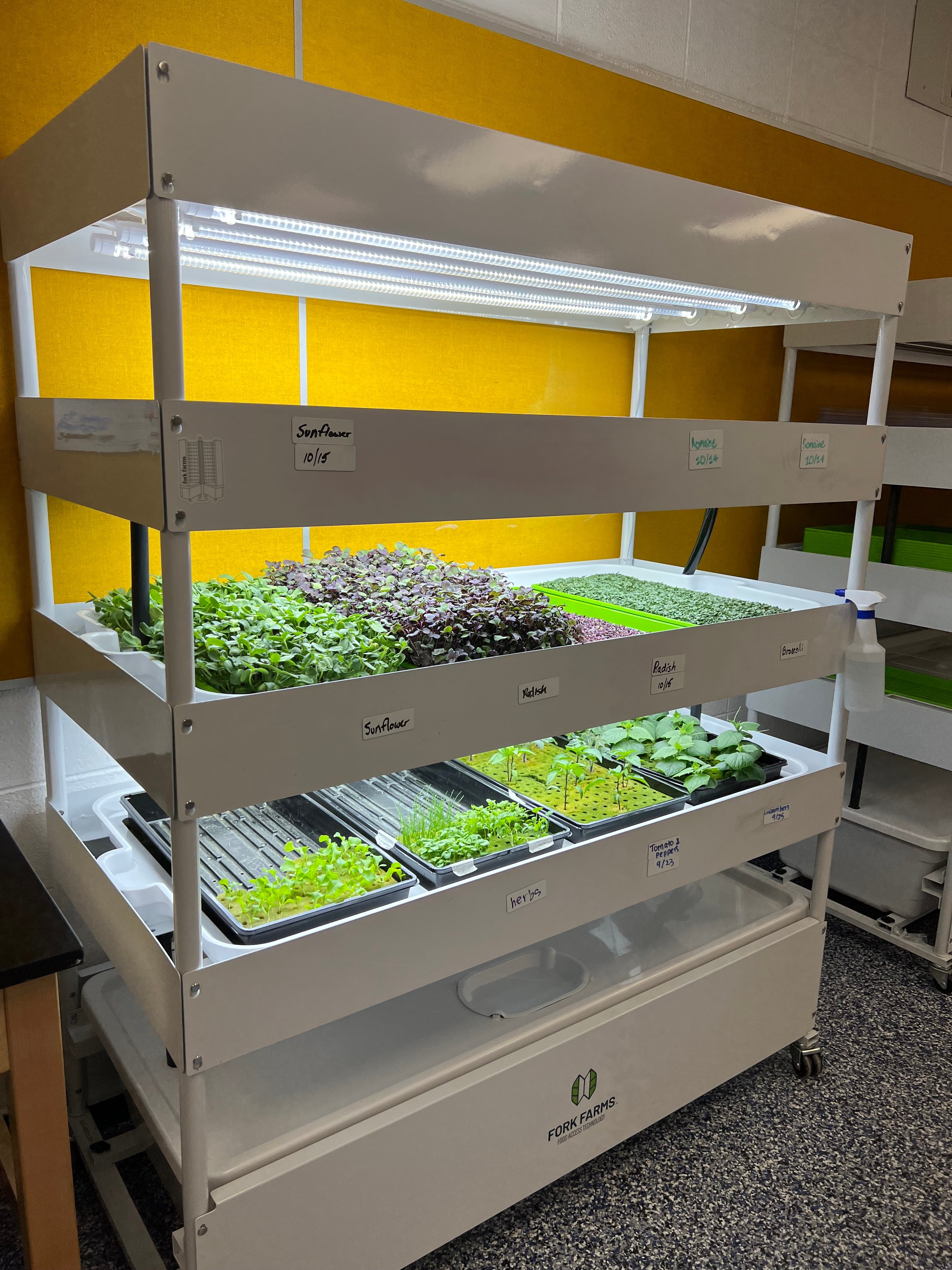 Flex Micro with herb, tomato, pepper, and cucumber seedlings on the bottom shelf and microgreens on the middle shelf