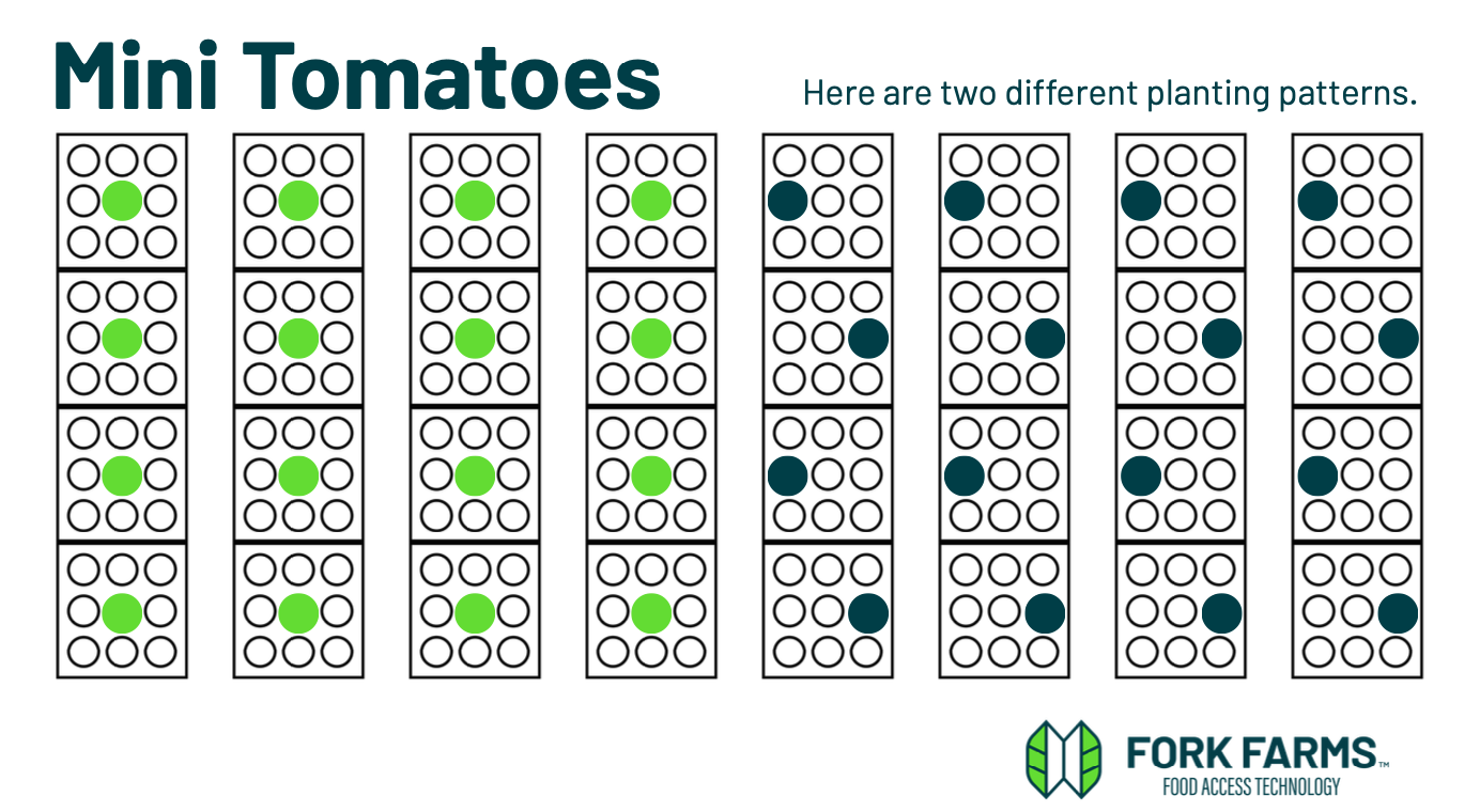 Mini tomato planting pattern: one plant in the center space of each Flex Farm panel