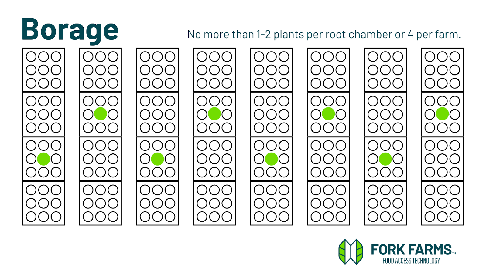 Flex Farm planting pattern for borage: one to two plants per root chamber